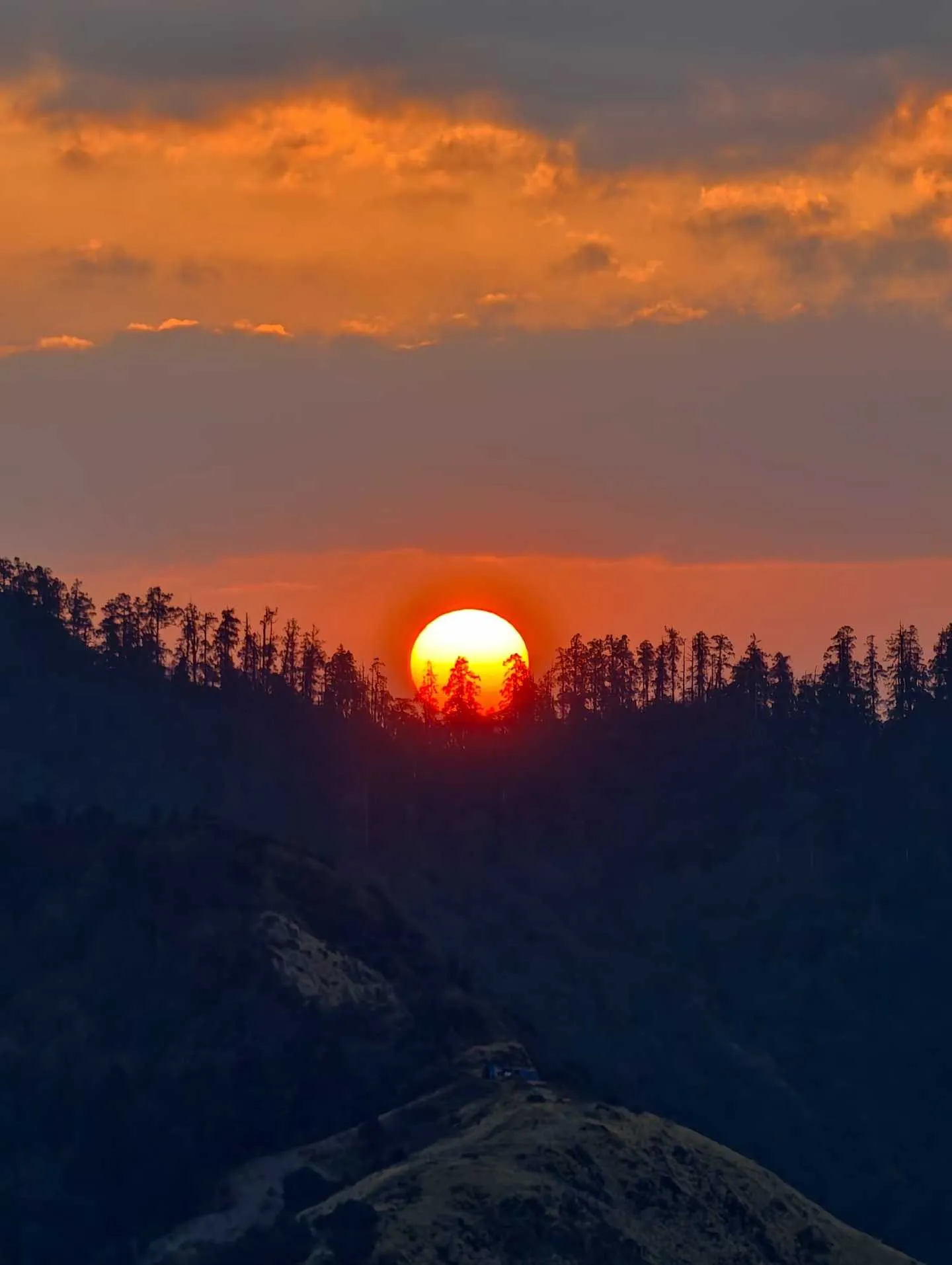 Poon Hill Trek