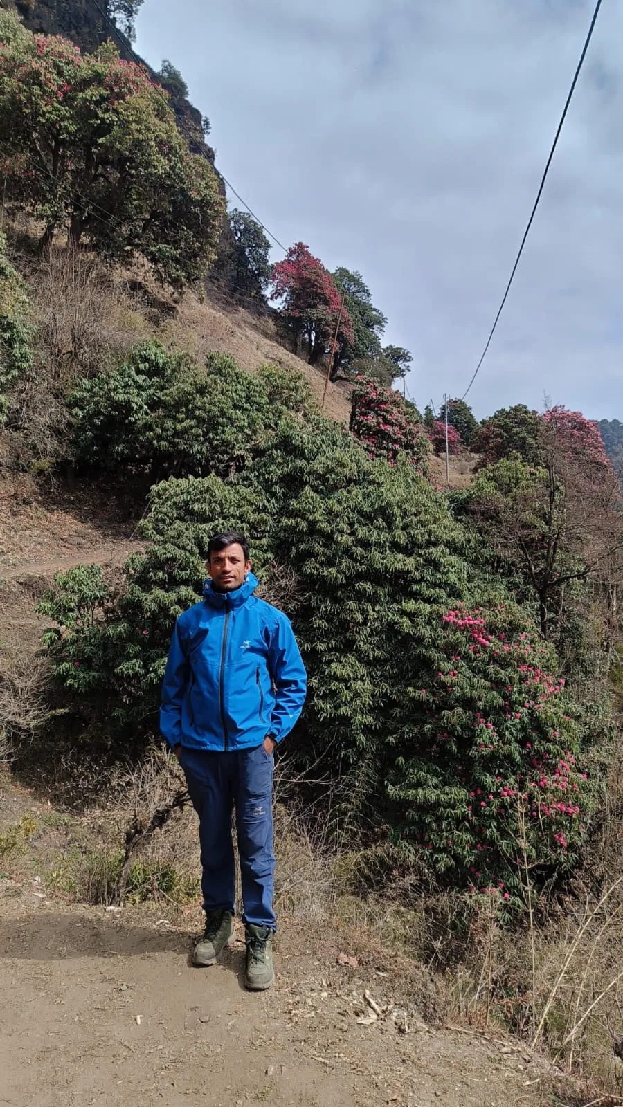 Poon Hill Trek