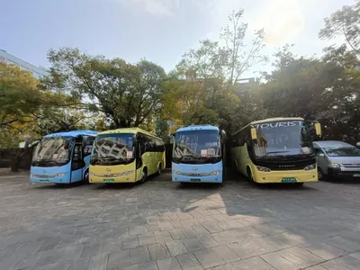 Buses & Private Cars