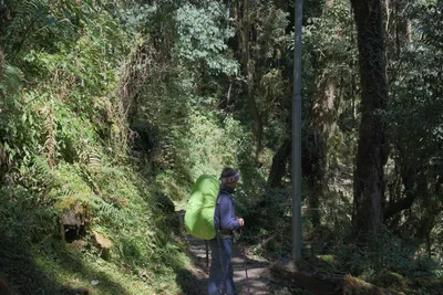 Expert Local Guides